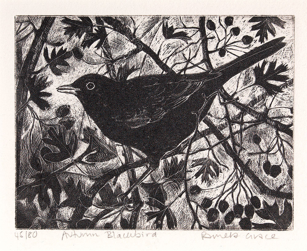 Autumn Blackbird by Pamela Grace (Framed)