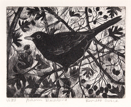 Autumn Blackbird by Pamela Grace (Framed)