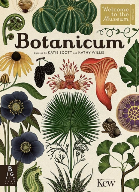 Botanicum (Hardback) by Katie Scott and Kathy Willis