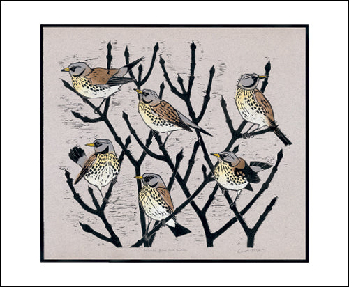 Friends from the North by Lisa Hooper