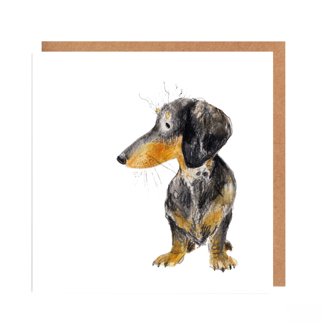 Otto by Catherine Rayner