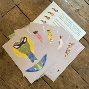 Cut Out & Make British Birds Kit by Alice Melvin