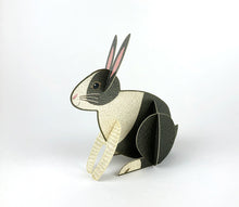 Load image into Gallery viewer, Alice Melvin Pop Out Pets Card - Rabbit
