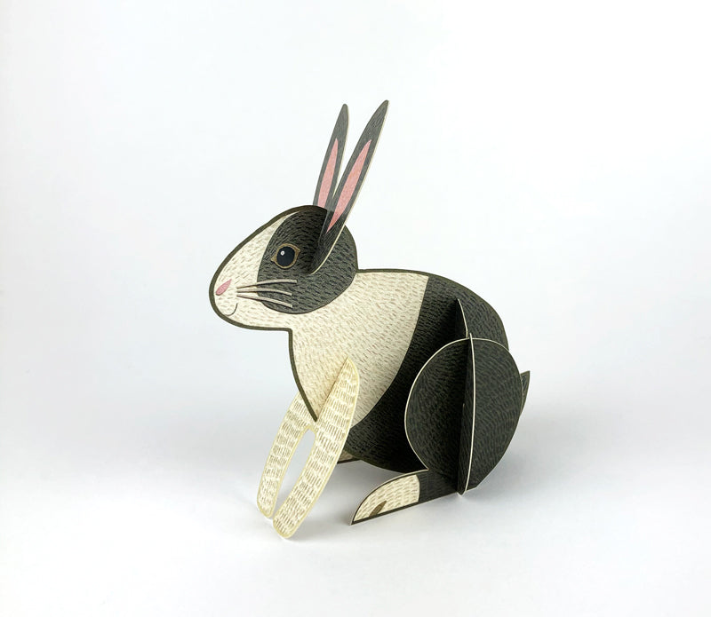 Alice Melvin Pop Out Pets Card - Rabbit