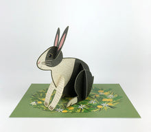 Load image into Gallery viewer, Alice Melvin Pop Out Pets Card - Rabbit
