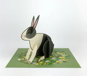 Alice Melvin Pop Out Pets Card - Rabbit