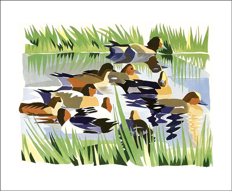 Wigeon by Lisa Hooper