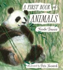 A First Book of Animals (Hardback) by Nicola Davies and Petr Horáček