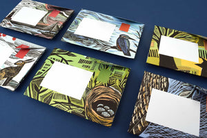 Pigeon Posted - Letters Reinvented - Wonderfully Wild
