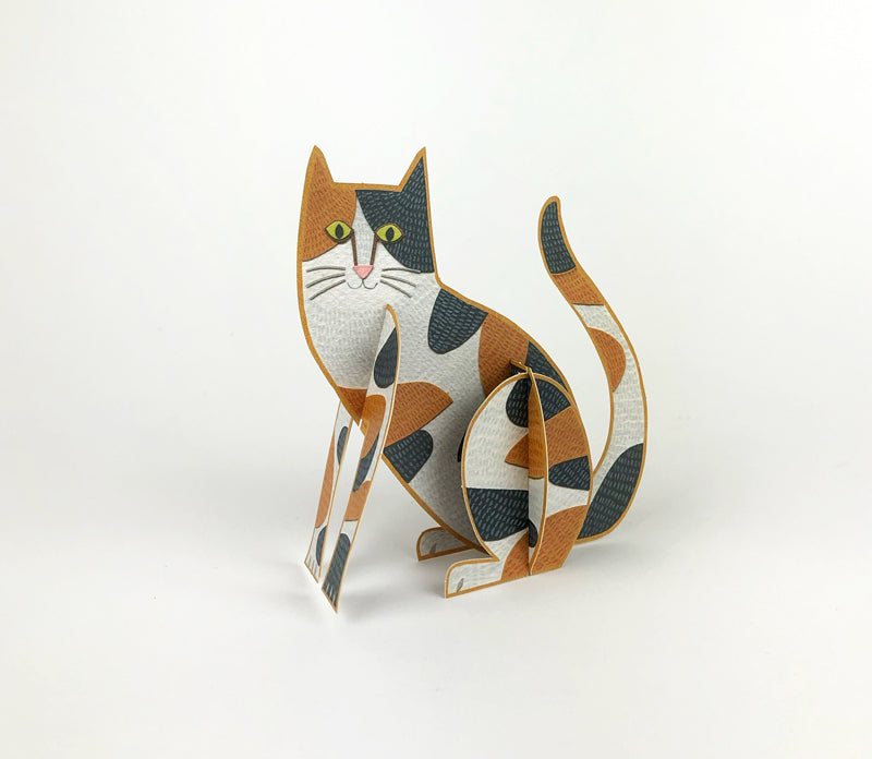 Alice Melvin Pop Out Pets Card - Cat