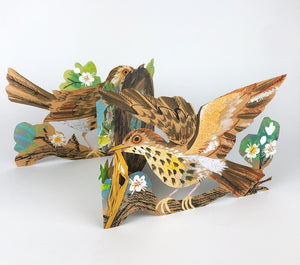 Nest Concertina Die Cut Card by Mark Hearld