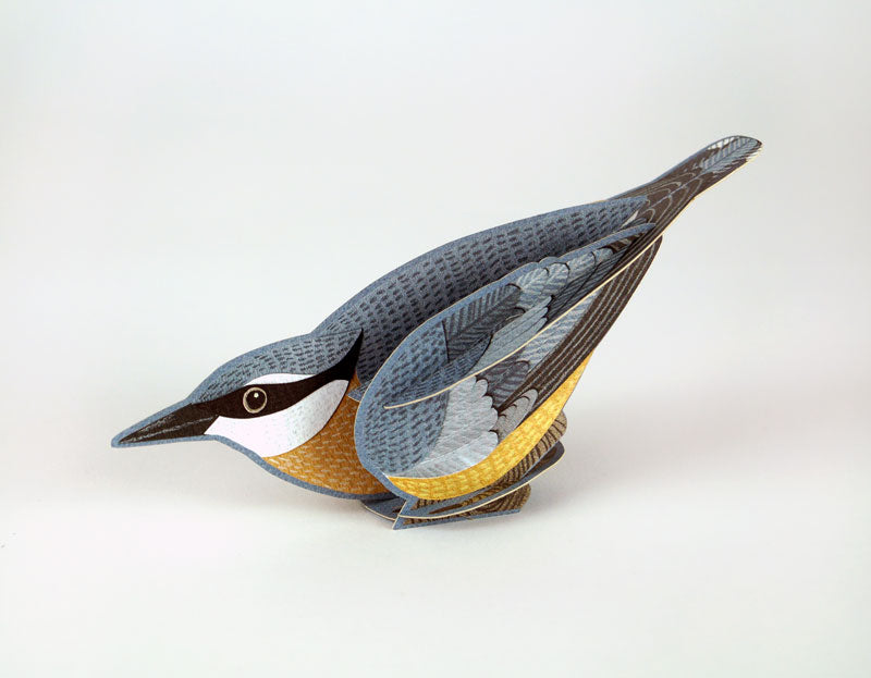 Alice Melvin Pop Out Bird Card - Nuthatch
