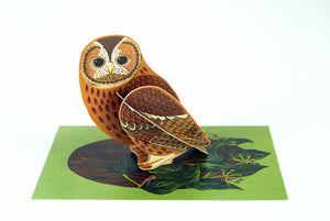 Alice Melvin Pop Out Bird Card - Tawny Owl