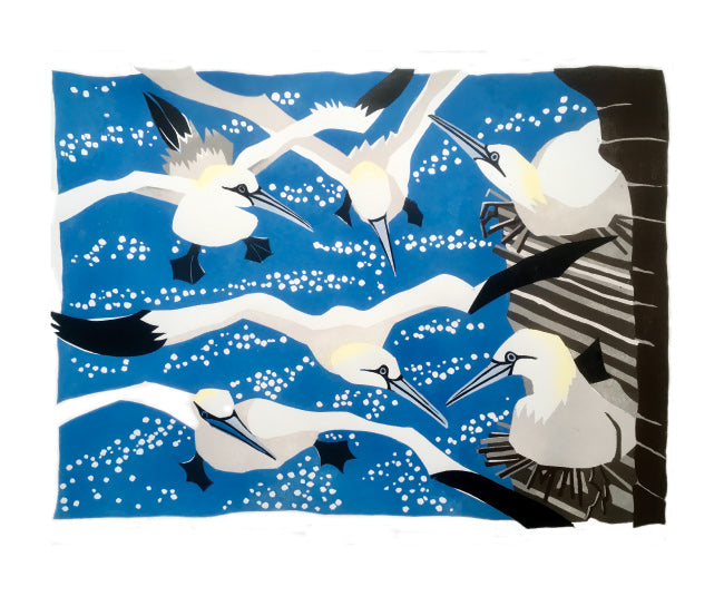 Westray Gannets by Lisa Hooper